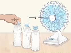 fan