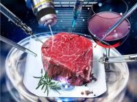 گوشت مصنوعی