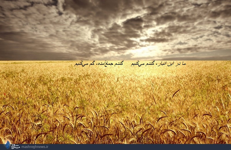 ما در اين انبار، گندم ميكُنيمگندم جمعْآمده، گُم ميكُنيم