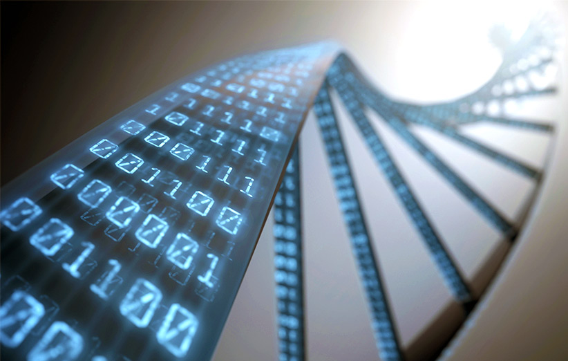 DNA