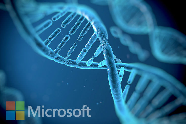 DNA