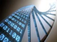 DNA