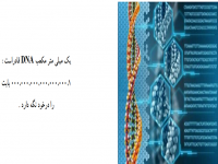 dna